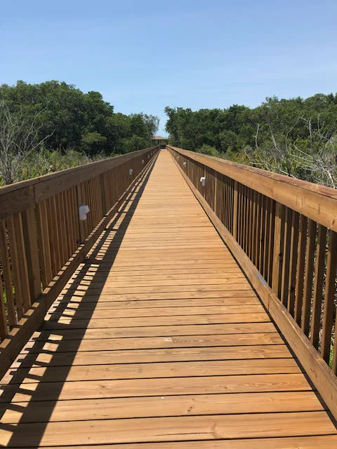 Audubon — photo 9