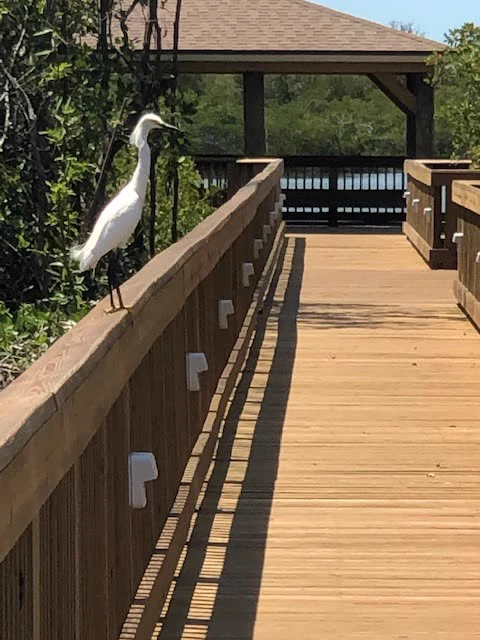 Audubon — photo 21