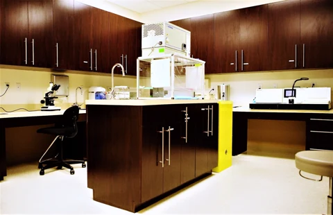 Dermatology — photo 5