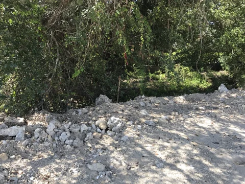 Naples Nissan — photo 23