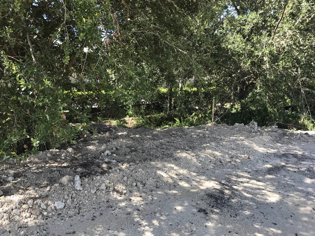 Naples Nissan — photo 24