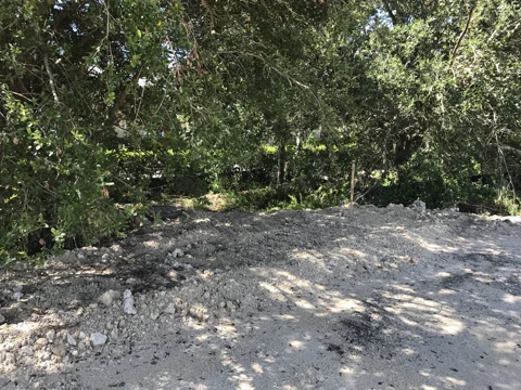 Naples Nissan — photo 24