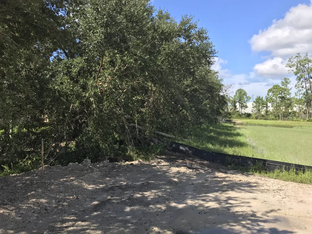 Naples Nissan — photo 25